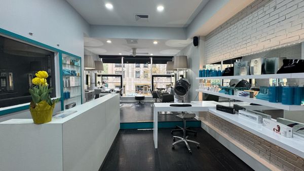 【希少！！】 2, Apt Ave, Lexington 843 NYC, Bar Hair New 10065 NY York, ヘアアクセサリー