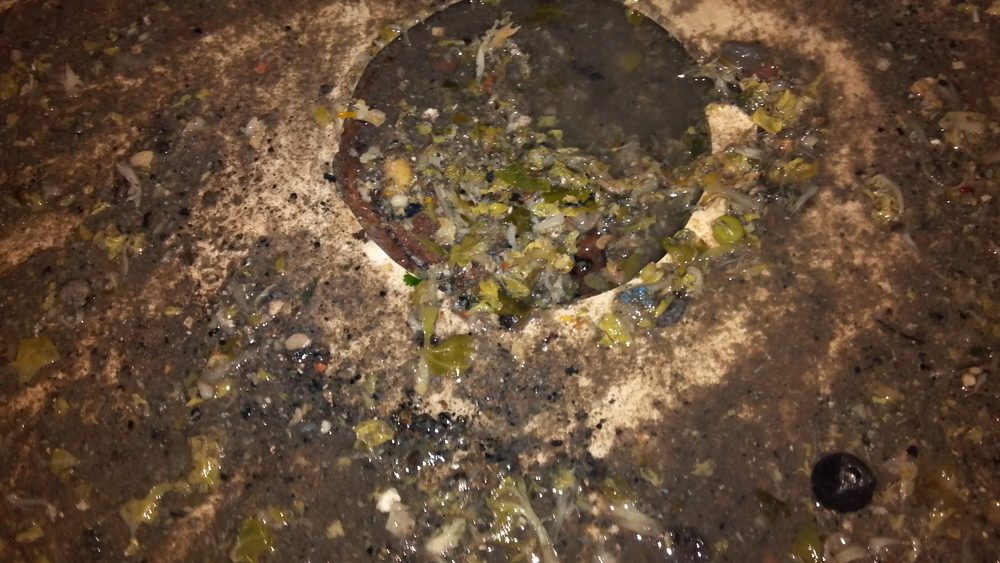 Slide of Drain Detectives