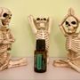 Inclusive Massage Therapy of Tampa Bay