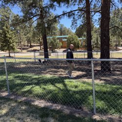 Picture of fenced dog area