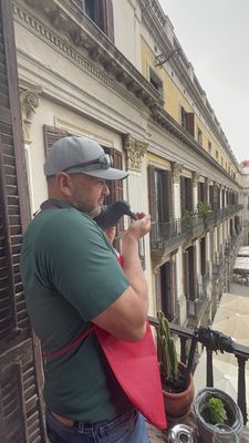 JUST ROYAL BCN by null