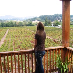 Healdsburg Wine Tours - Healdsburg wine tour