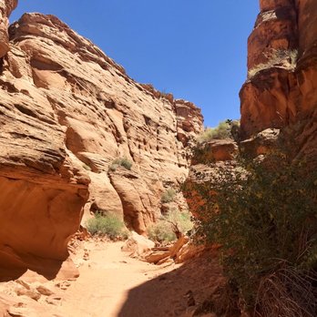 Taadidiin Tours - Walking towards the canyons - Walking Tours Near Me - Page, Arizona Taadidiin Tours - Walking towards the canyons - Walking Tours Near Me - Page, Arizona