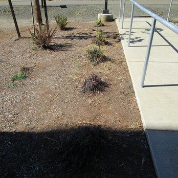 Roseburg Landscape Maintenance - "Welcome to the garden of Eden." - Landscaping Near Me Roseburg Landscape Maintenance - "Welcome to the garden of Eden." - Landscaping Near Me