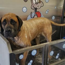 WASHVILLE CAR WASH - 13 Photos & 11 Reviews - 208 Western Ave, Augusta