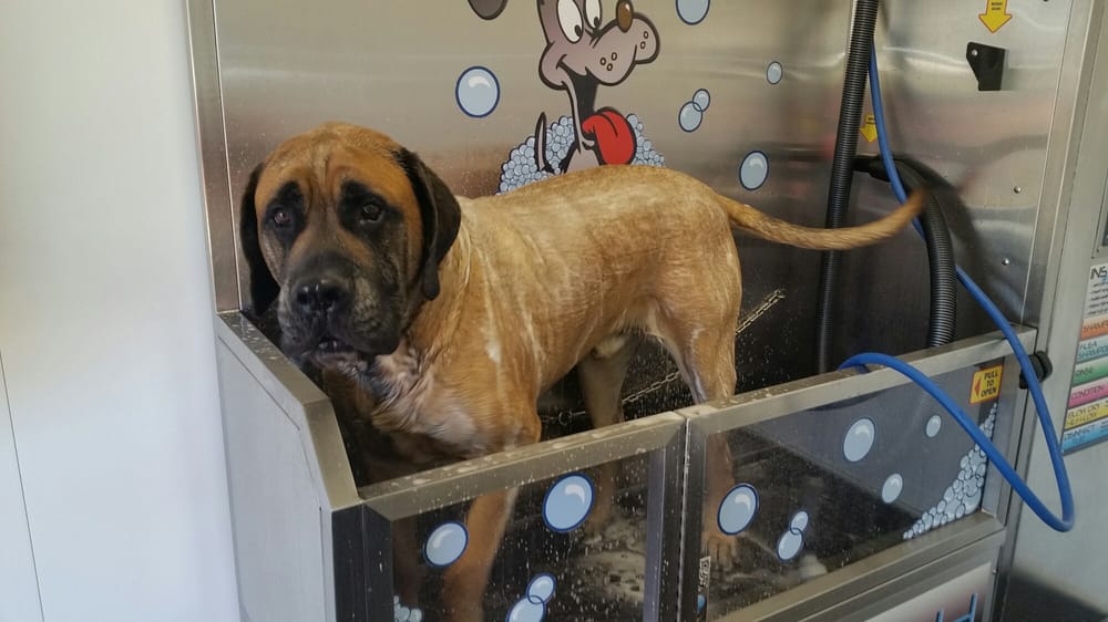 WASHVILLE CAR WASH Updated August 2024 13 Photos & 13 Reviews 208