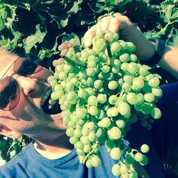 Emanar Cellars - Wine grapes - Wine Bars Near Me - Battle Ground, Washington