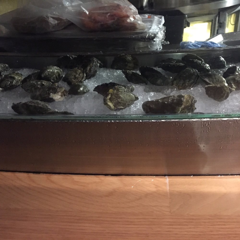 Opera Bar - Oysters at the opera bar - Beer Gardens Near Me - Sydney, NSW