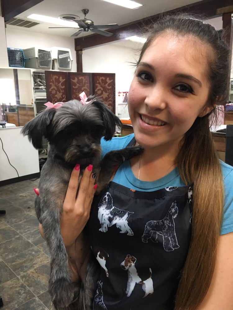 PET STYLES BY COURTNEY Updated May 2024 722 Walnut St, Yuba City