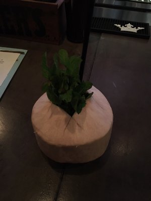 Bánh Mì and Bottles by null