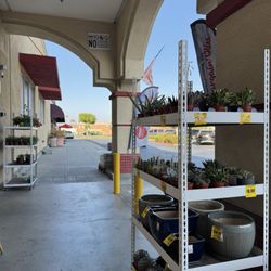 Grocery Outlet