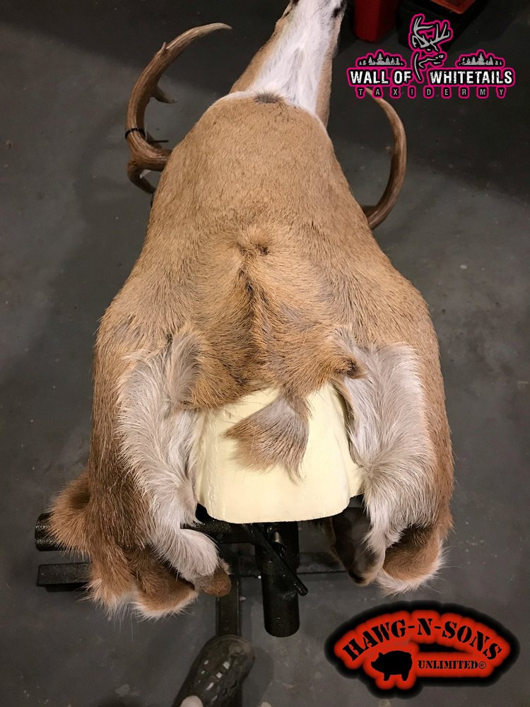 After the Hunt Taxidermy - taxidermy in Beach Park, IL