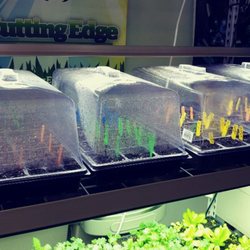 Lotus Urban Farm and Garden Supply