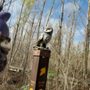 Photo of Audubon Louisiana Nature Center