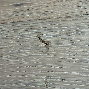 Perfect Moving - Slammed table into new wood floor - Movers Near Me - New York, New York