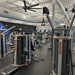 Dynamic Health & Fitness