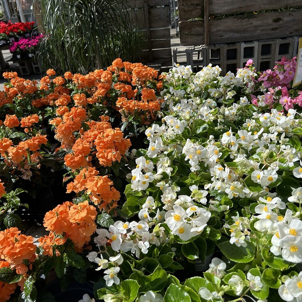 Café Equinox - Home & Garden Near Me - Shawnee, Kansas