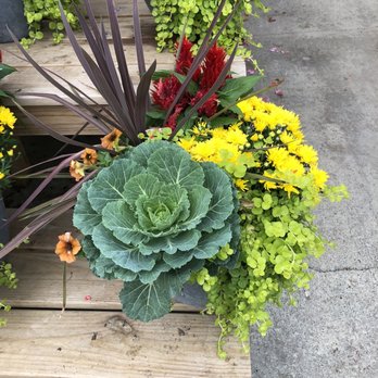 Petitti Garden Centers - Nurseries & Gardening Near Me - Youngstown, Ohio Petitti Garden Centers - Nurseries & Gardening Near Me - Youngstown, Ohio