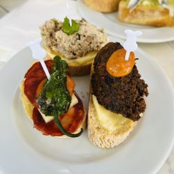 Tapa Del Toro