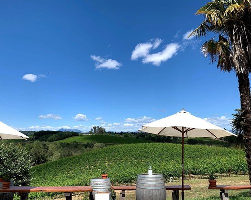 Iron Horse Vineyards by null