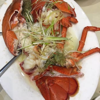 New Choice Restaurant - steam lobster - Chinese Near Me - Richmond Hill, Ontario New Choice Restaurant - steam lobster - Chinese Near Me - Richmond Hill, Ontario