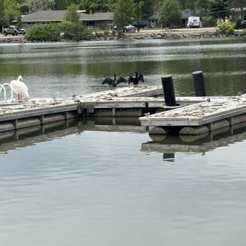 Fort Collins City Park - Pelican and cormorants - Parks Near Me - Fort Collins, Colorado