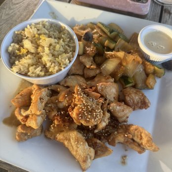 Island Ocean Star - chicken teriyaki - Sushi Bars Near Me - Anna Maria, Florida Island Ocean Star - chicken teriyaki - Sushi Bars Near Me - Anna Maria, Florida