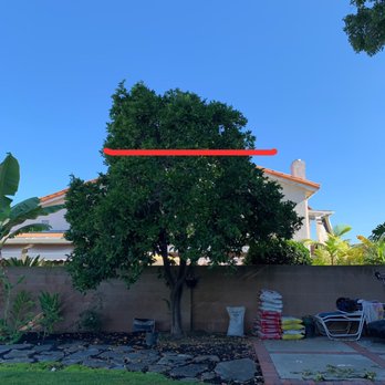My Tree Experts - Tree Services Near Me My Tree Experts - Tree Services Near Me