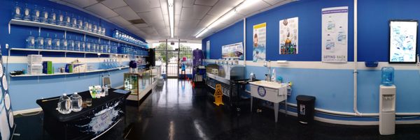 Water Tree - Corpus Christi