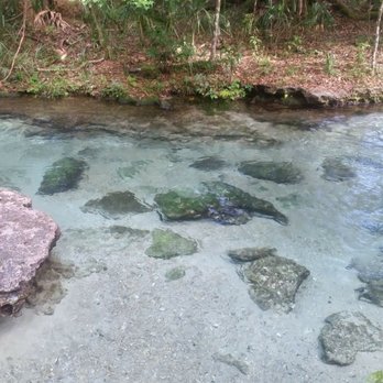 Kelly Park - Hiking Near Me - Apopka, Florida Kelly Park - Hiking Near Me - Apopka, Florida