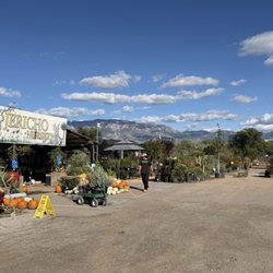 Jericho Nursery