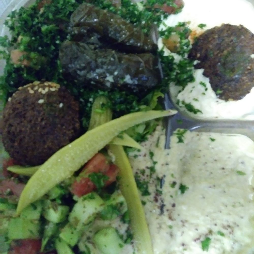 Gyro 2 Go - Veggie mezza sampler after a MAX ride home. - Mediterranean Near Me - Beaverton, Oregon