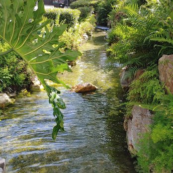 Kyoto Garden - Botanical Gardens Near Me - Los Angeles, California