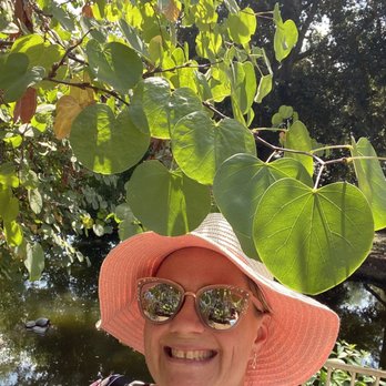 California Botanic Garden - Turtles behind me at the Wildlife Pond! So cute! - Botanical Gardens Near Me - Claremont, California