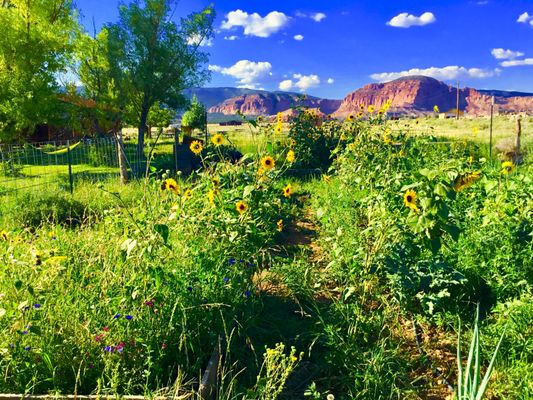 Sandcreek RV Park by null