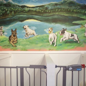 Norma PetCare - Mural on boarding side - Pet Groomers Near Me - Houston, Texas Norma PetCare - Mural on boarding side - Pet Groomers Near Me - Houston, Texas