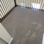 Photo of Integrity Carpet Cleaning