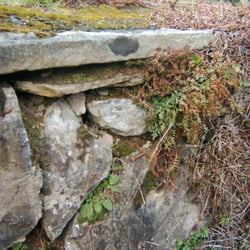 Trockenmauer in Holthausen