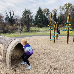 Log tunnel and climbing structure