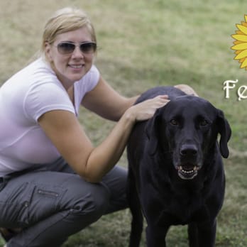 Sunflower Pet Sitting - Dog Walkers Near Me - Leavenworth, Kansas Sunflower Pet Sitting - Dog Walkers Near Me - Leavenworth, Kansas