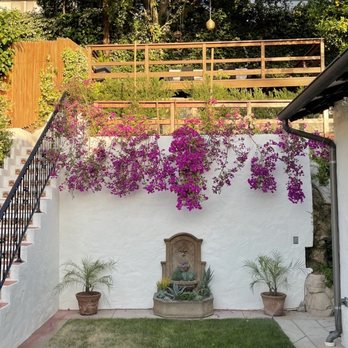 Orchid Landscape - Before Orchid Landscaping. - Landscaping Near Me