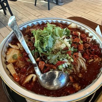 Duck & Dumpling - Mao Xue Wang - Noodles Near Me - San Antonio, Texas
