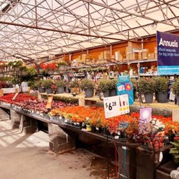 Garden center