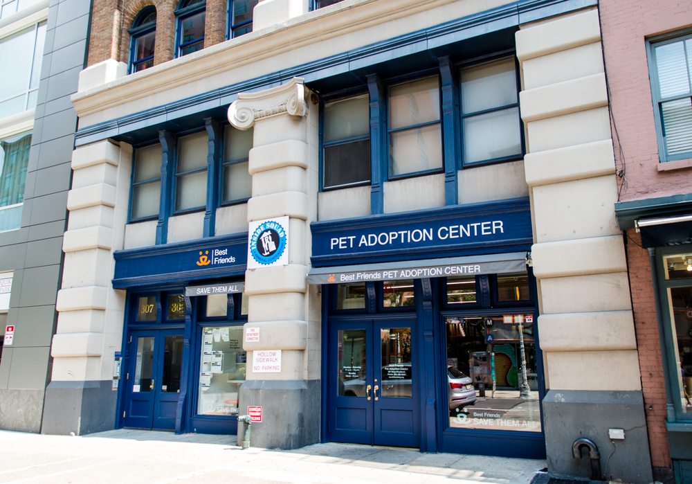 best friends adoption center