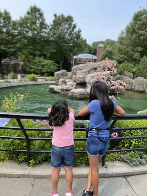 Prospect Park Zoo by null