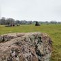 Photo of Stanton Drew Stone Circles
