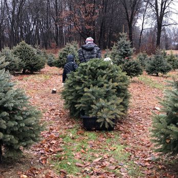 Saltsman Christmas Tree Farm - Christmas Trees Near Me - Rhinebeck, New York Saltsman Christmas Tree Farm - Christmas Trees Near Me - Rhinebeck, New York