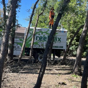 TreeMax Tree Service - During tree work - Tree Services Near Me - Citrus Heights, California TreeMax Tree Service - During tree work - Tree Services Near Me - Citrus Heights, California