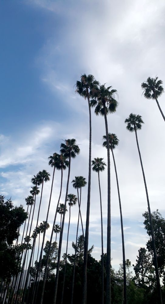 AM NOTARY SERVICE Updated June 2024 BURBANK, California Notaries