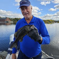 Penobscot Guide Service